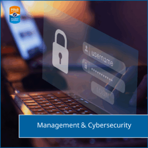 master ecampus management e cibersecurity